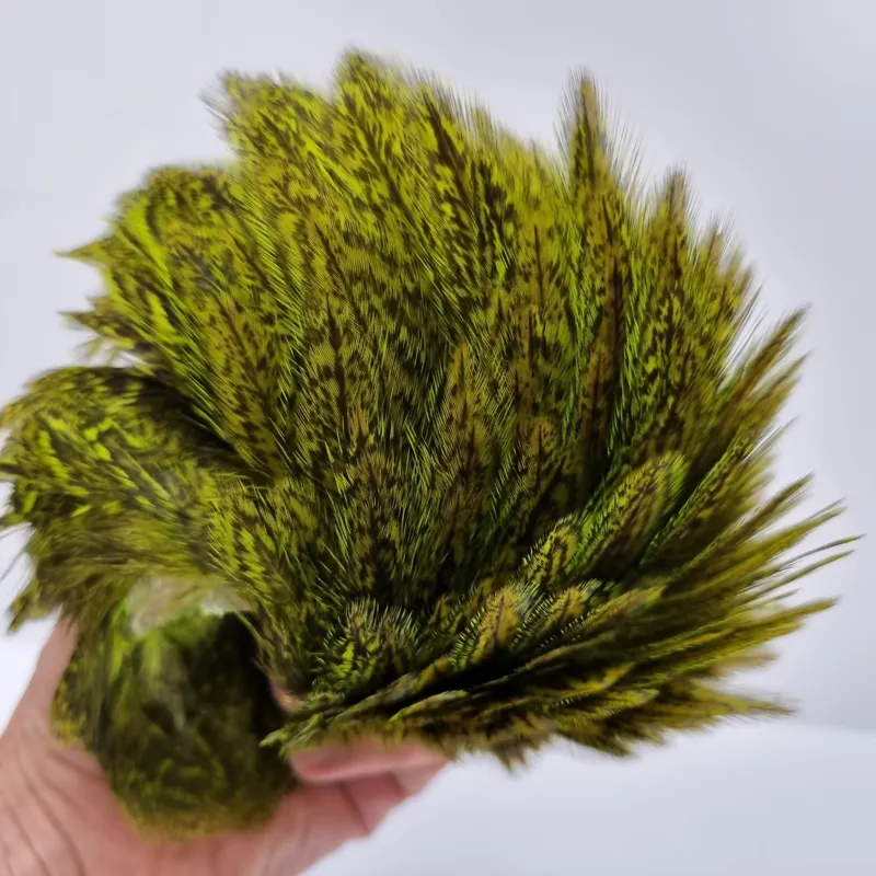 Whiting Coq de Leon Hen Cape in Speckled Fl.Green Chartreuse-11